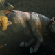 Image for article titled Yes, I Have Bagged Red Dead Online’s Most Elusive Bovine